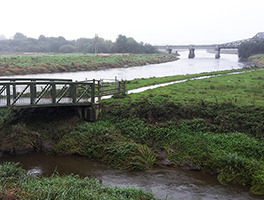 River Towy in Carmarthen, normal flow